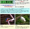 池公園新聞サムネイル